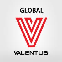 Global Valentus image 1